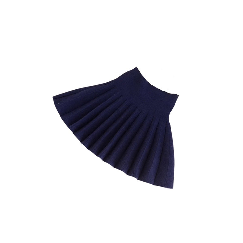 Recess Pleated Skirt